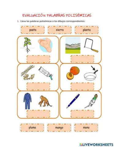 Evaluación palabras polisémicas