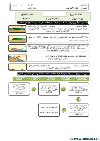 ورقة 33تفاعلية3