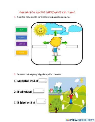 Evaluación puntos cardinales y el plano