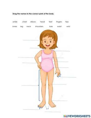 Parts of the Body
