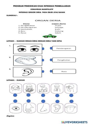 Organ Deria dan Deria