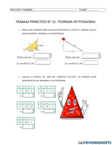 T P N° 11  TRIGONOMETRÍA 