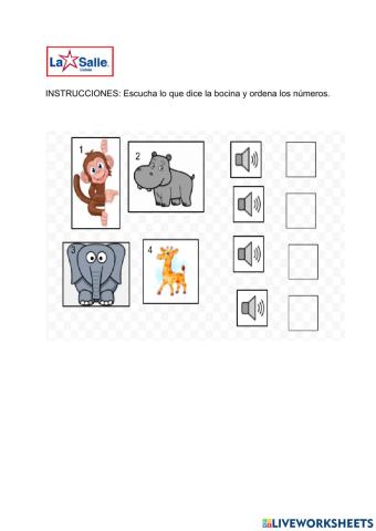 Animales de la Selva