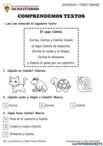 Comprensión de lectura