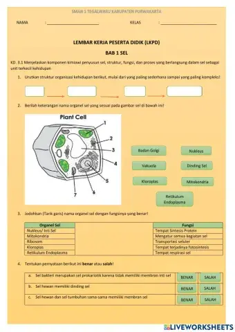 Lkpd sel