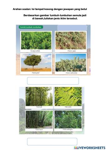 Bab 3:Pengaruh persekitaran fiikal terhadap kepelbagaian tumbuh-tumbuhan semula jadi dan hidupan liar