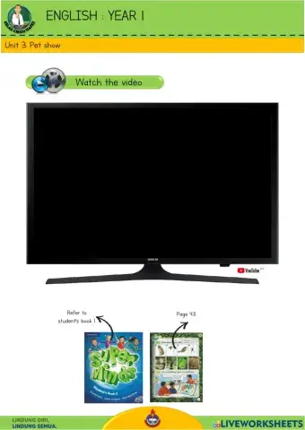 English Y1 - Pet show 12