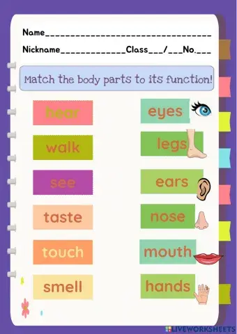 Body parts and functions