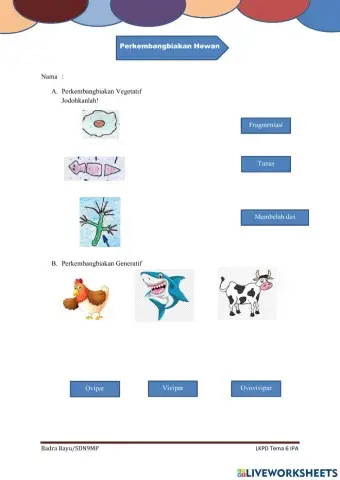 Perkembangbiakan Hewan