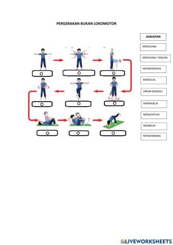 Pergerakan BUkan Lokomotor
