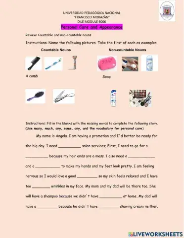 Count and Non- count nouns