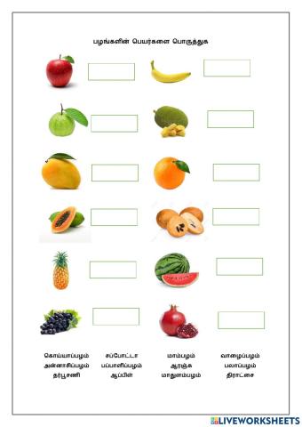 பழங்கள் தமிழ் பெயர்கள் Fruits Tamil Names