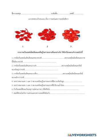 การแพร่และออสโมซิส