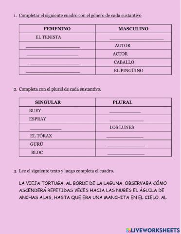 Excepciones en el género y número de los sustantivos