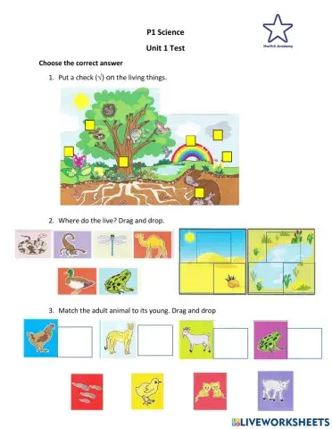 Grade 1 Science Living things