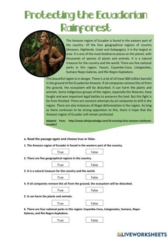 Ecuadorian Amazon rainforests