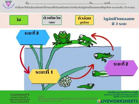 แบบทดสอบ4 หน่วย2 ป.3