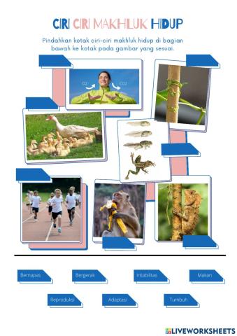 LKPD  Ciri-ciri makhluk hidup