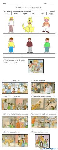 P1 ESC Quarter 2 Reading Test