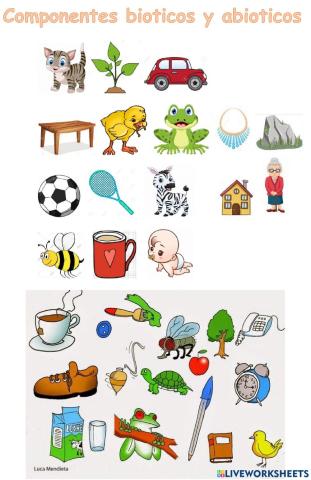 Biótico y abióticos