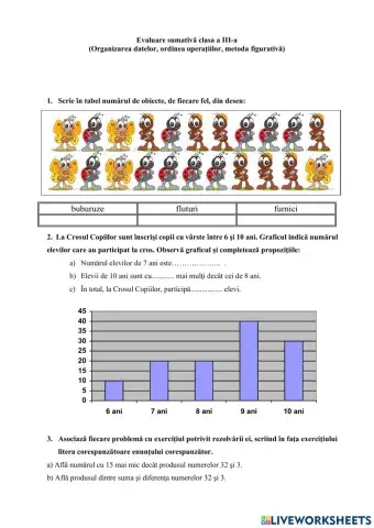 Evaluare sumativa matematica