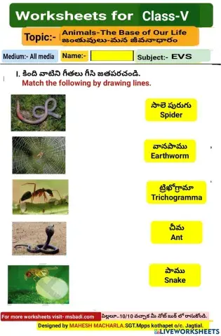 5th-EVS-WS-1-5-BY MAHESH MACHARLA