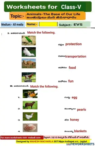 5th-EVS-WS-1-6-BY MAHESH MACHARLA