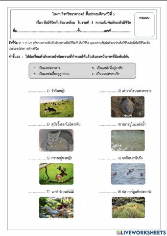 วิทยาศาสตร์ ป.5-03