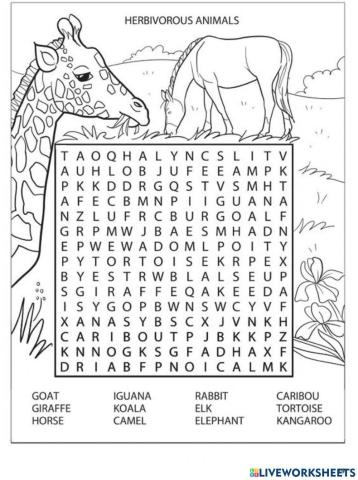 Find the animal words