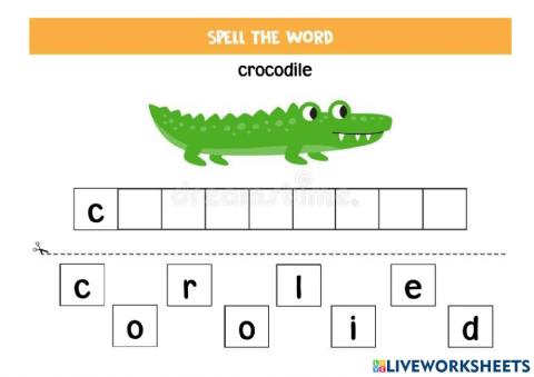Crocodile theme