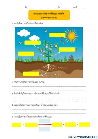 การสังเคราะห์ด้วยแสง