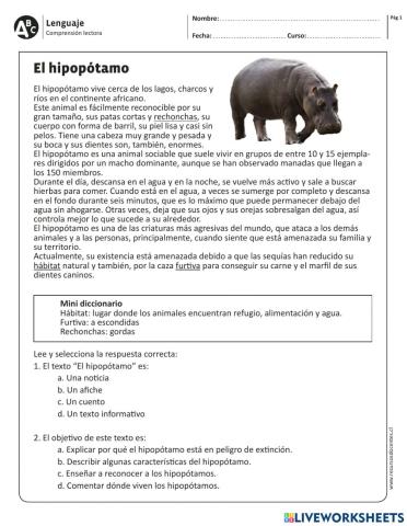 Artículo informativo: El hipopótamo