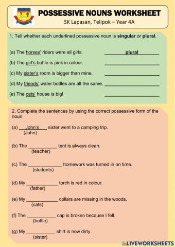 Possessive Nouns Worksheet