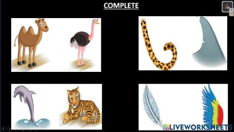 Wild animals unit 5 -4to grade- feed back