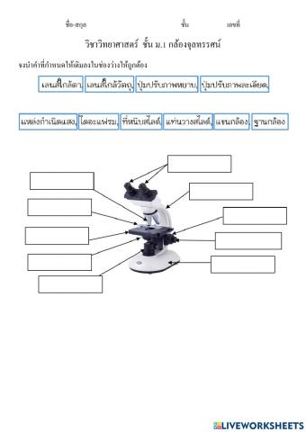 วิทยาศาสตร์