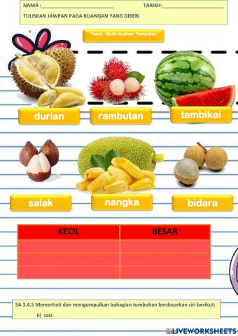Buah-Buahan Tempatan