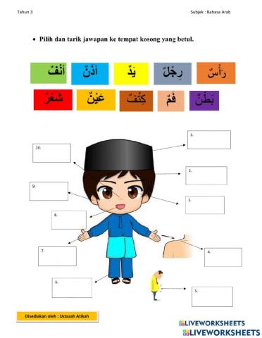 Latihan Bahasa Arab (Anggota Badan)