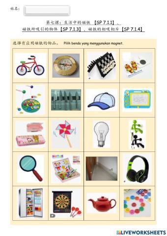 一年级科学：磁铁总评估