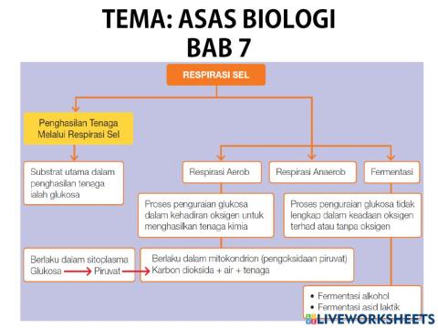Bio t4 bab 6 respirasi sel