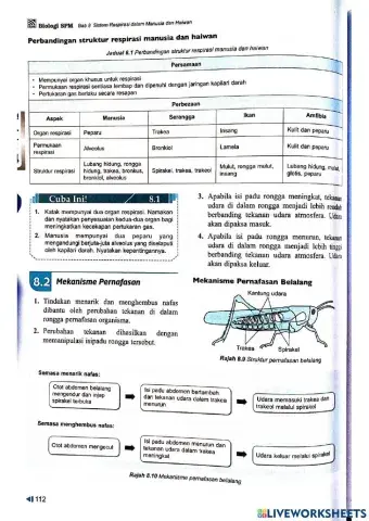 Bio t4 bab8 sistem respirasi