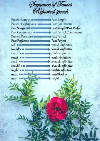 Sequence of Tenses - Reported Speech