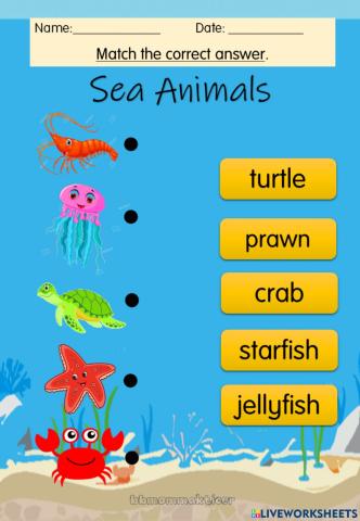 Match sea animal