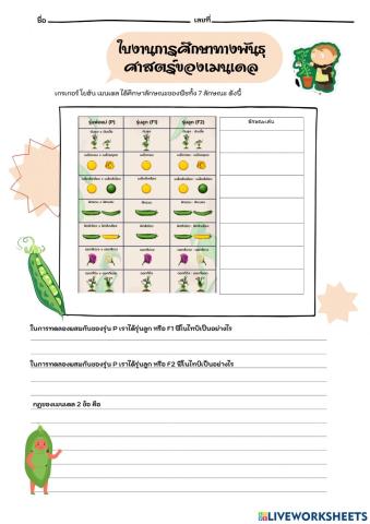 กฎเมนเดล