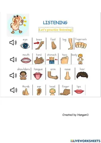 Parts of body (Listening)