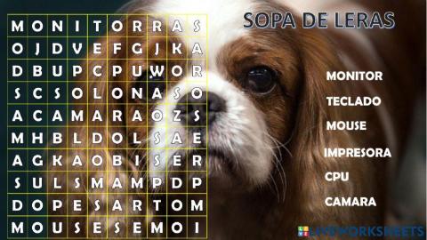Sopa de letras