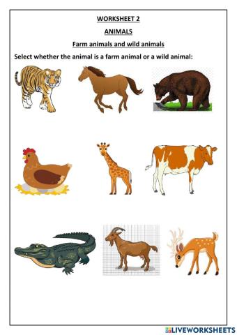 Farm animals & wild animals