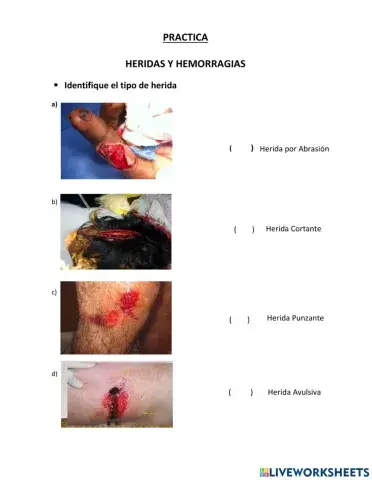 Ficha heridas y hemorragias