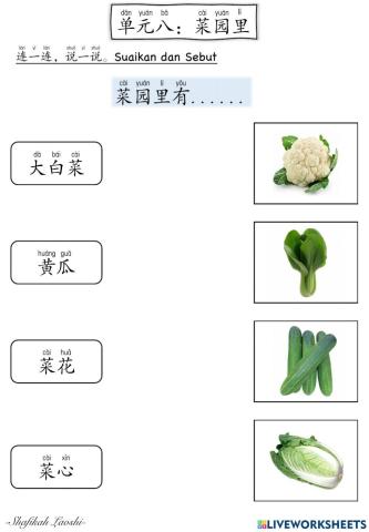 Bcsk t3 单元八：菜园里