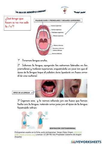 Articulación fonema - R -  simple y múltiple.