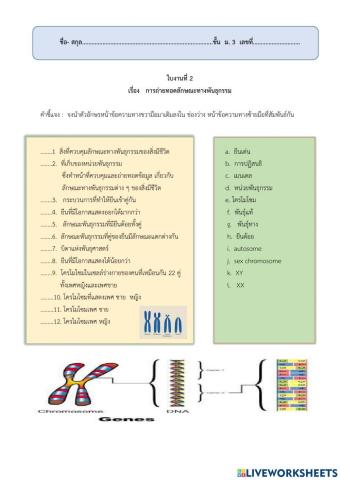 การถ่ายทอดลักษณะทางพันธุกรรม ม.3